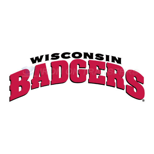 Wisconsin Badgers Logo T-shirts Iron On Transfers N7021